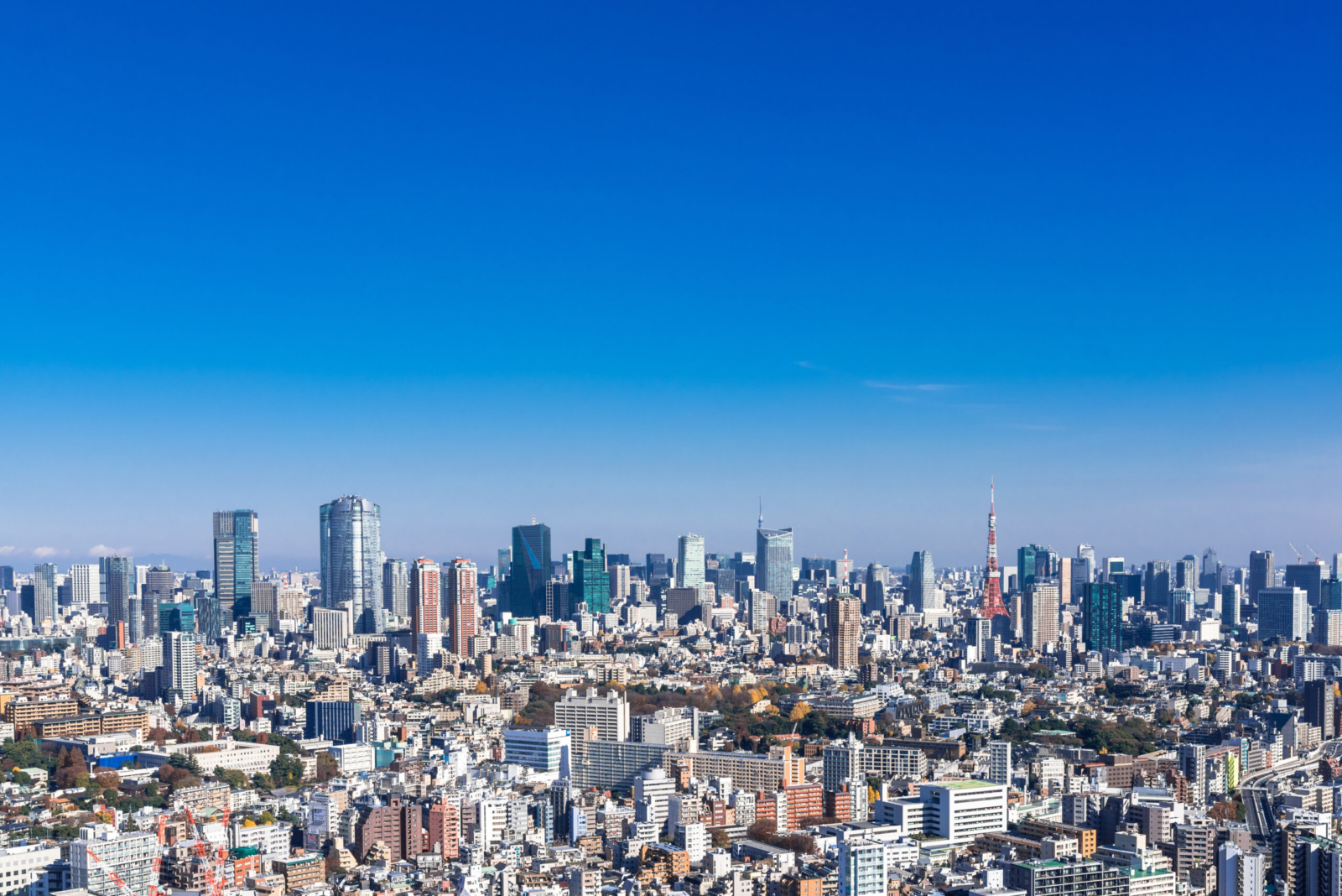 事例から学ぶ採用ピッチ資料｜テンプレート付き