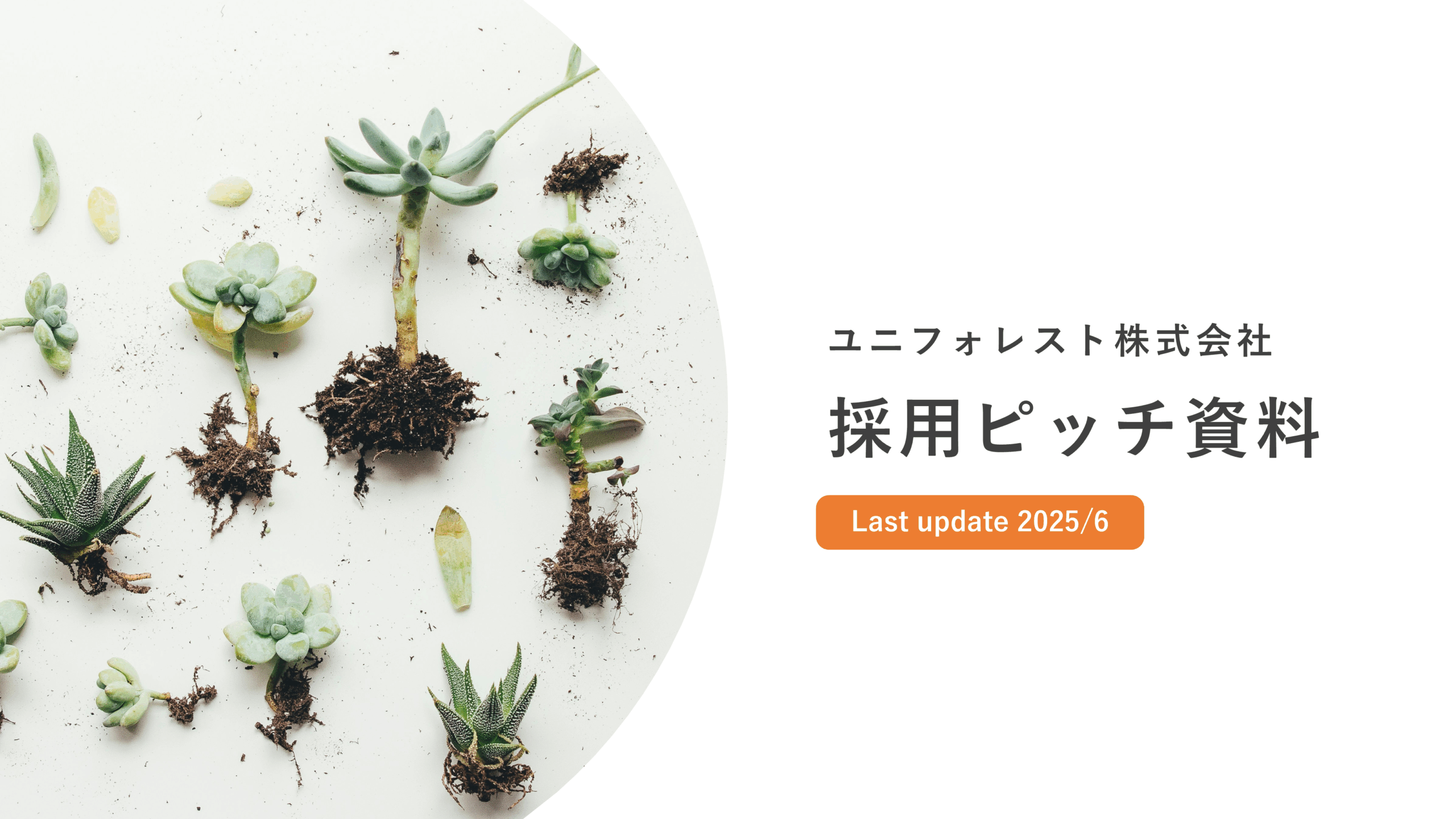 採用ピッチ資料